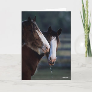 Bob Langrish Två skott i Clydesdale Horses Kort