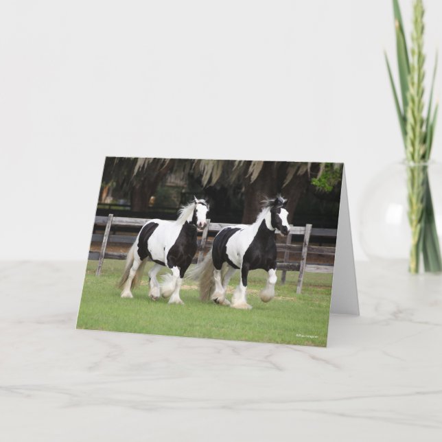 Bob Langrish | Två svartvitt och vita zigenare Kort (Framsida)