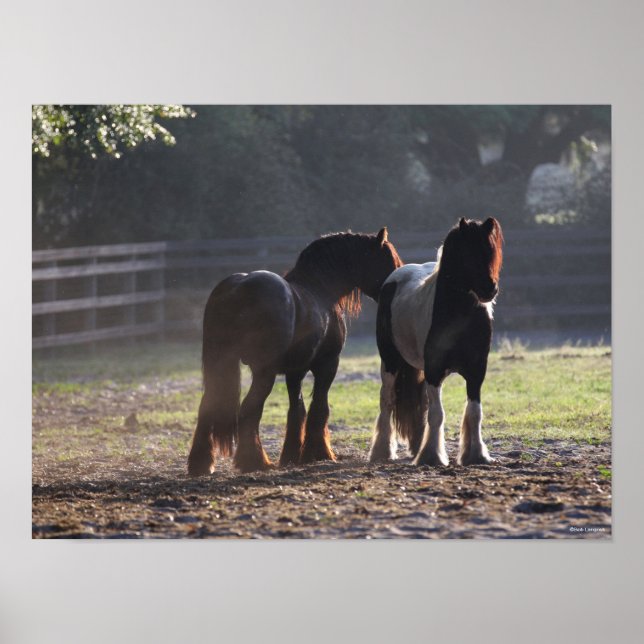Bob Langrish | Två zigenare i bakgrundsbelysta Fäl Poster (Framsidan)