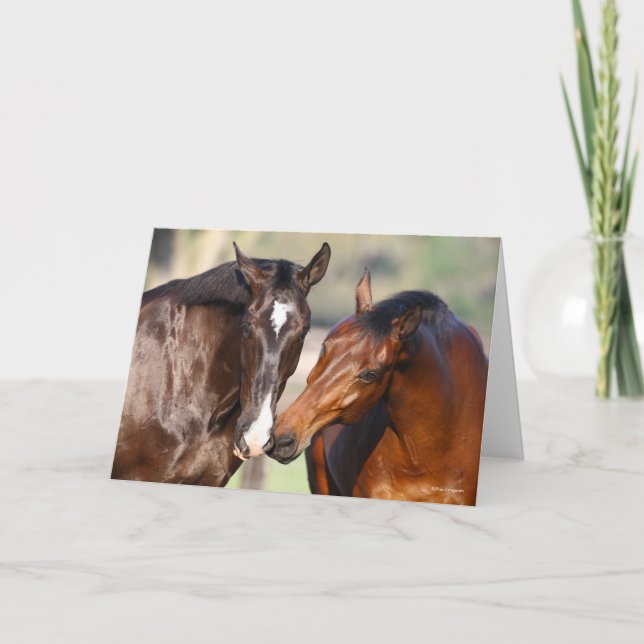 Bob Langrish | Two Canadian Sport Horses Meeting Kort (Framsida)