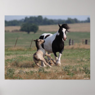 Bob Langrish Vanner Mare and Foal för zigenare Poster
