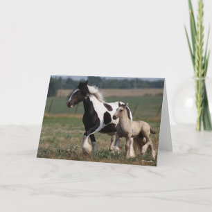 Bob Langrish Vanner Mare and Foal Running Kort