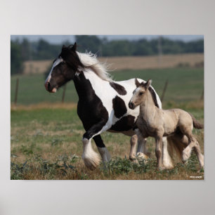 Bob Langrish   Vanner Mare and Foal Running Poster