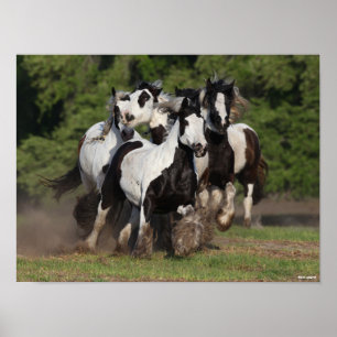 Bob Langrish Växtskyddsventiler som kör herd Poster
