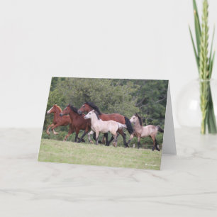Bob Langrish Welsh Ponies Running Mares and Foals Kort