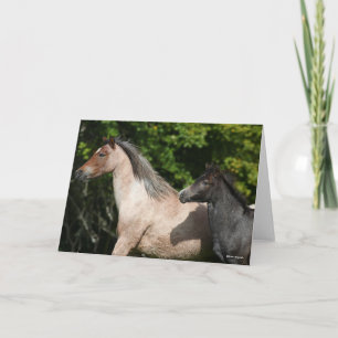Bob Langrish Welsh Pony Mare and Foal Headshot Kort