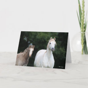 Bob Langrish Welsh Pony Mare and Foal Kort