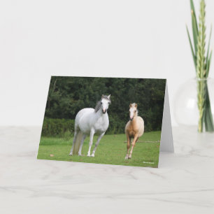 Bob Langrish Welsh Pony Mare and Foal Kort