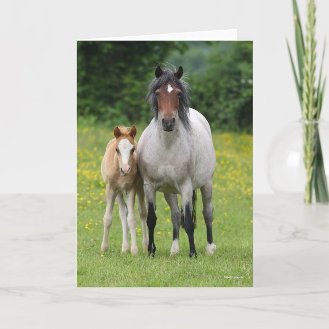 Bob Langrish | Welsh Pony Mare and Foal Permanent Kort (Framsida)