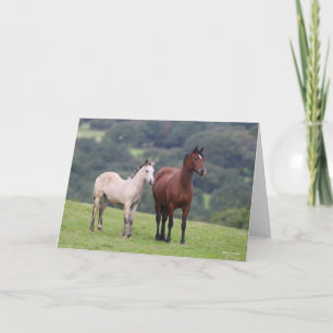 Bob Langrish Welsh Pony Mare and Foal Permanent Kort