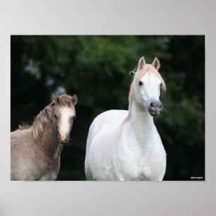 Bob Langrish Welsh Pony Mare and Foal Poster