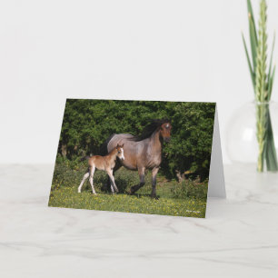 Bob Langrish Welsh Pony Mare and Foal Running Kort