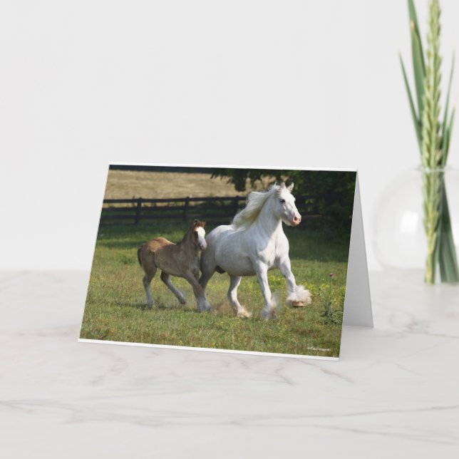 Bob Langrish | Zypsy Vanner Horse Mare & Foal Kort (Framsida)