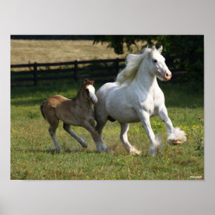 Bob Langrish   Zypsy Vanner Horse Mare & Foal Poster