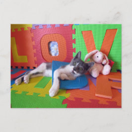 Bob letar efter Ord vykort