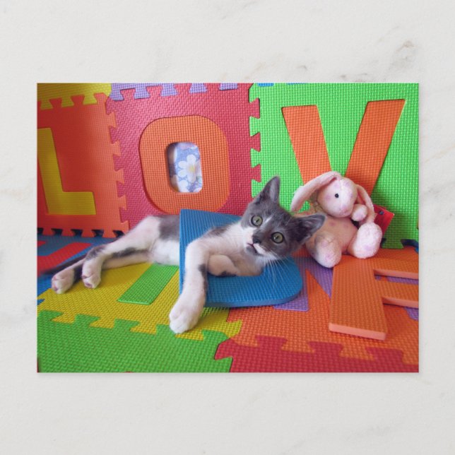 Bob letar efter Ord vykort (Framsida)