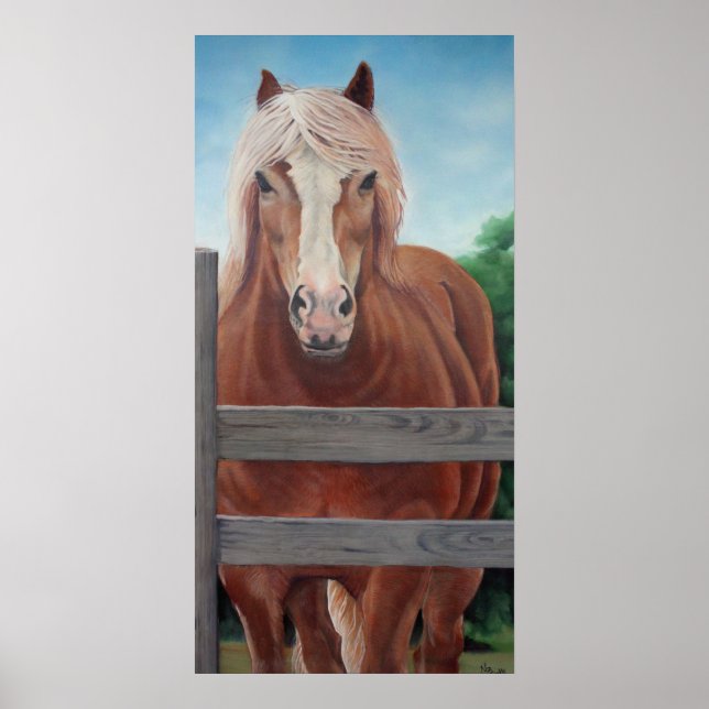 "Bob" Poster (Framsidan)