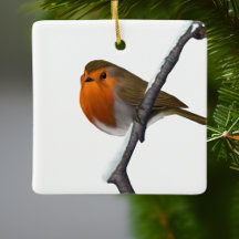 Bob Red Robin Bird Wildlife White