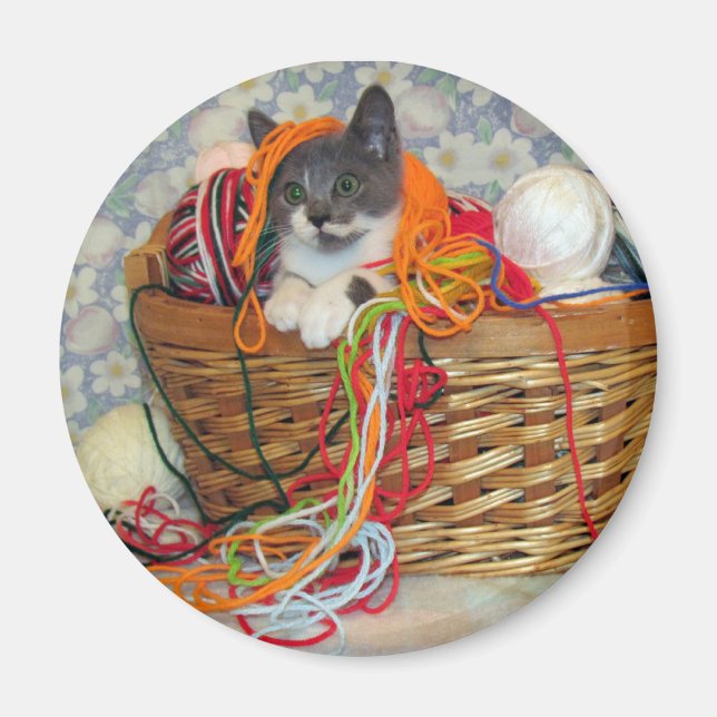 Bob Spinn'in a Yarn Magnet (Framsidan)