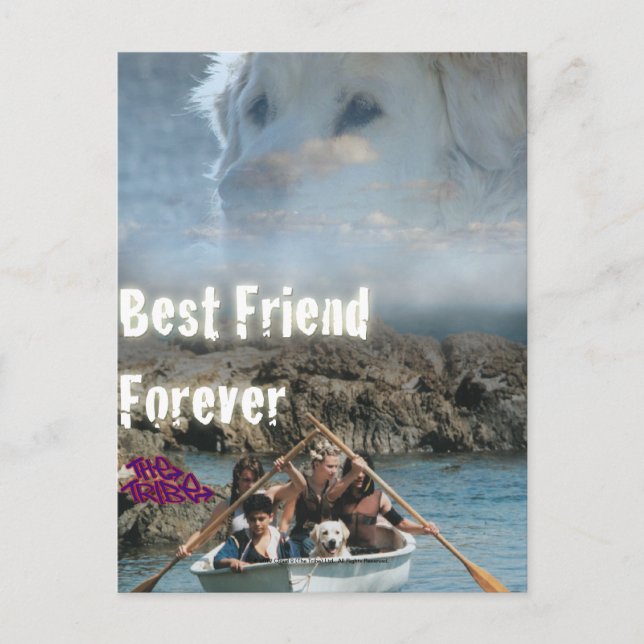 Bob the Hund - Best Friend Forever Vykort (Framsida)