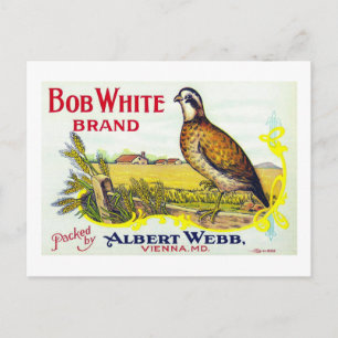 "Bob White Pumpkin Brand Canning Label-kort" Vykort
