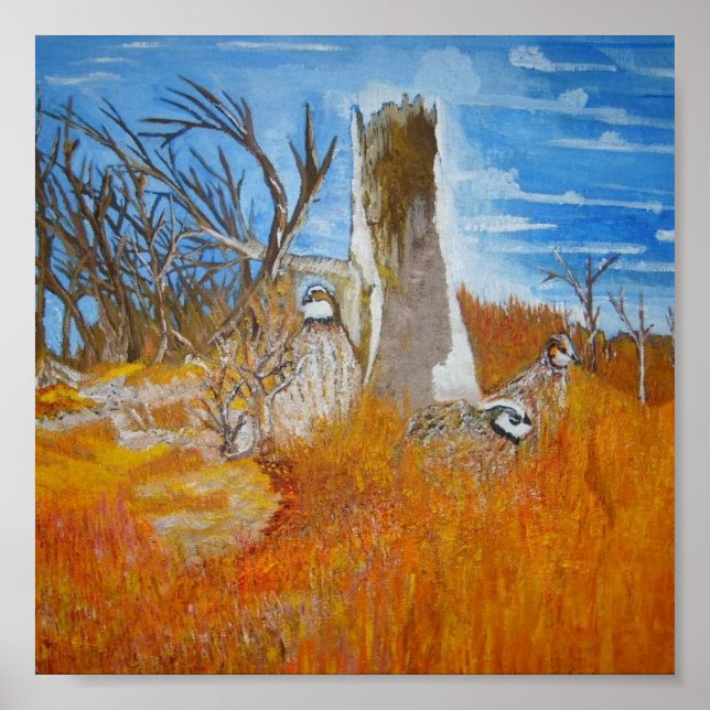 Bob White Quail Poster (Framsidan)