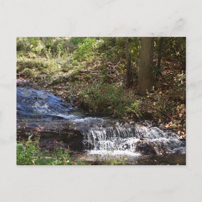 Bobby McLean Memorial Park #4 Newland, NC Vykort (Framsida)