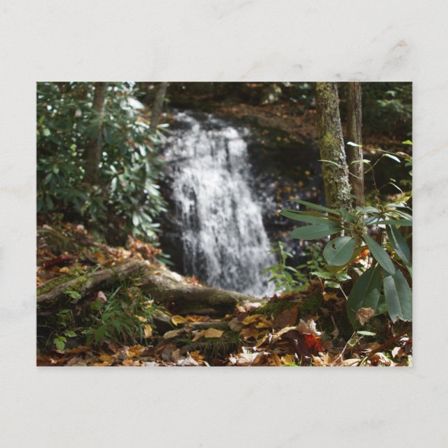 Bobby McLean Memorial Park, Newland, NC #3 Vykort (Framsida)