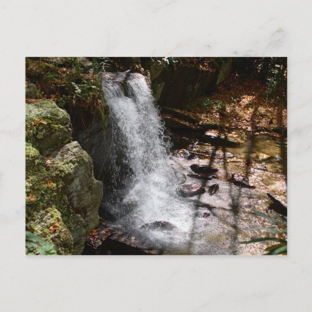 Bobby McLean Memorial Park vattenfall #2 Vykort (Framsida)