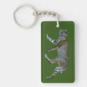 Bobcat