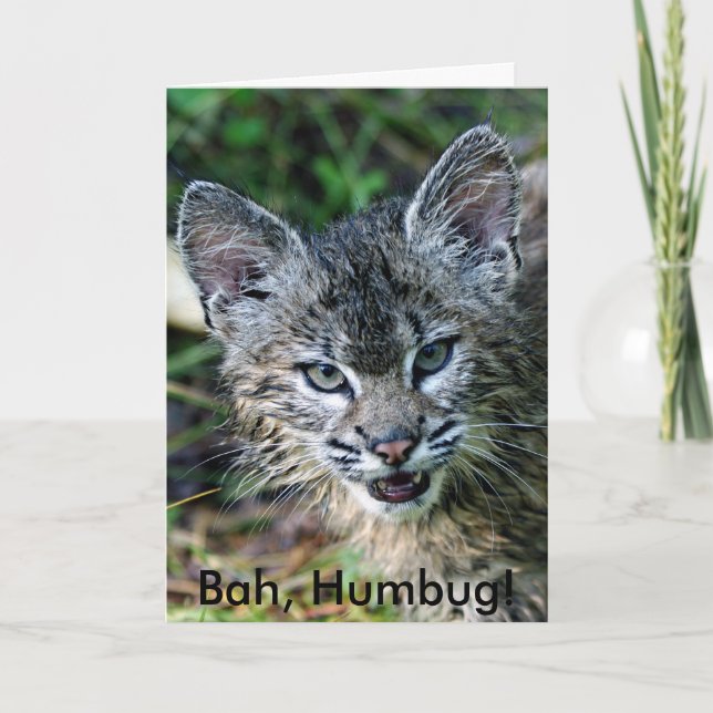 BobCat Bah, Humbug! Helgkort (Framsida)