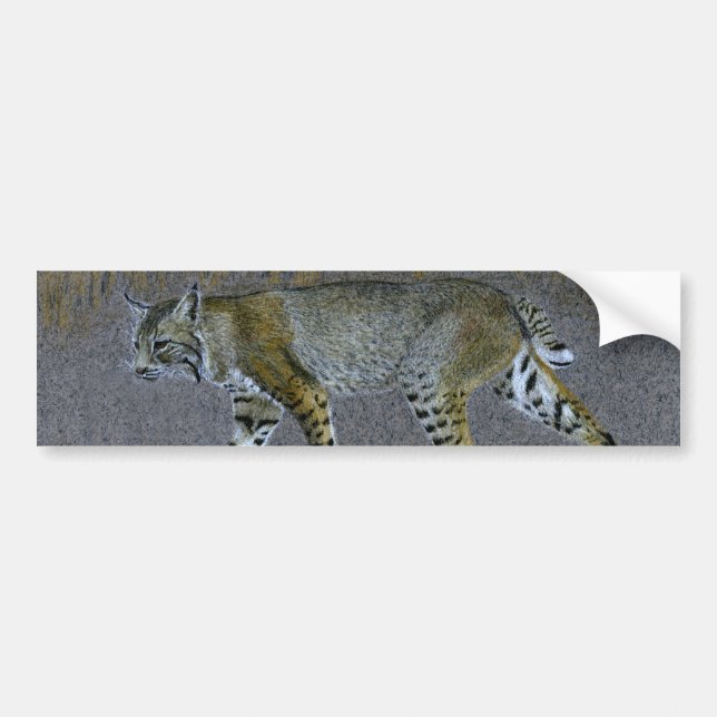 Bobcat Bildekal (Framsidan)