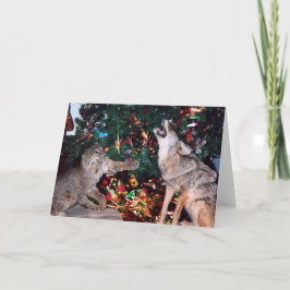 Bobcat Coyote Vild Animal Southwest julcard Helgkort