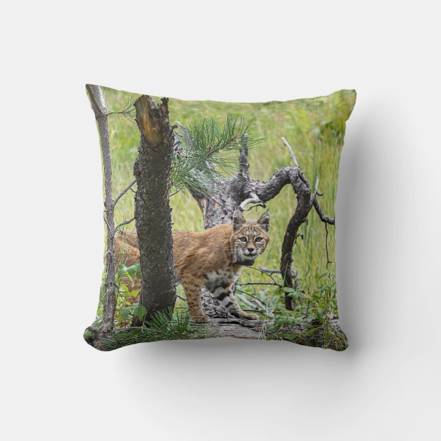 Bobcat Dekorativ kudde (Framsida)