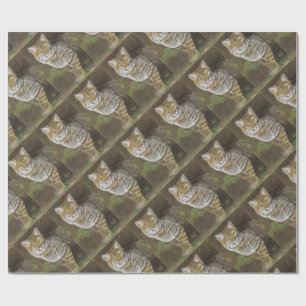 Bobcat-emballering papper presentpapper