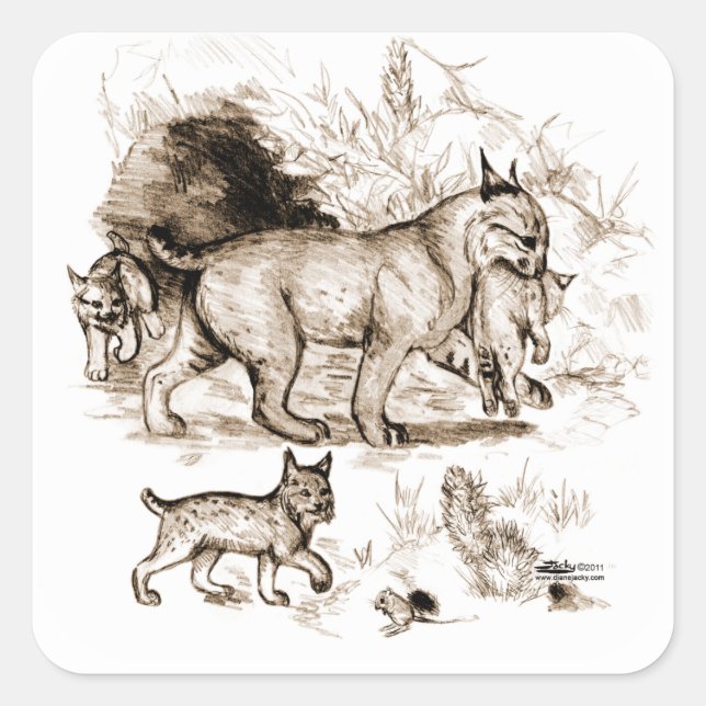Bobcat Family Fyrkantigt Klistermärke (Framsida)