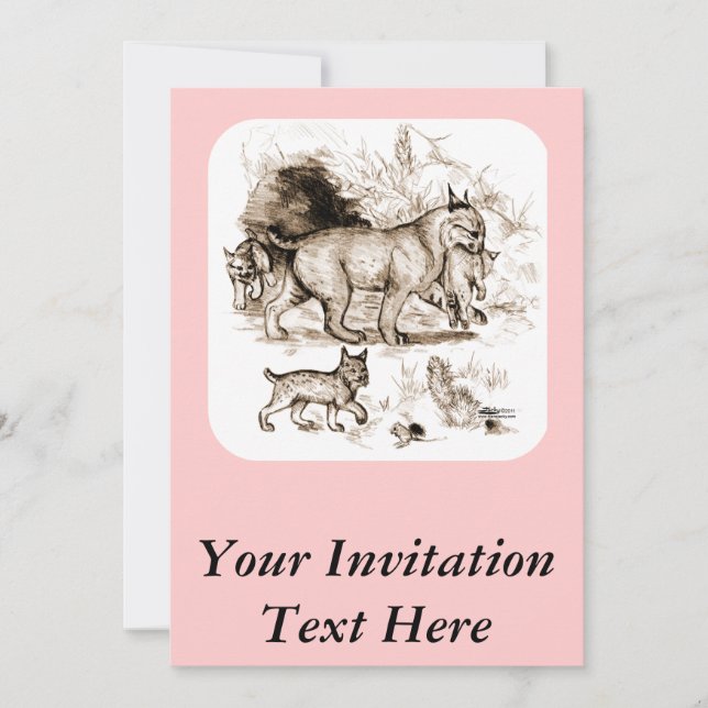 Bobcat Family Inbjudningar (Framsida)