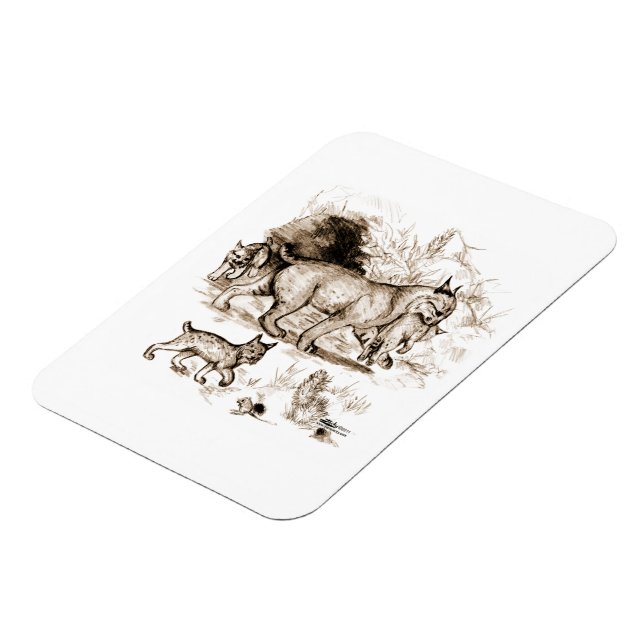 Bobcat Family Magnet (Vänstra Sidan)