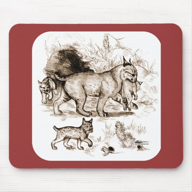 Bobcat Family Musmatta (Framsidan)