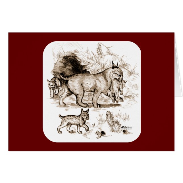 Bobcat Family OBS Kort (Framsidan Horizontal)