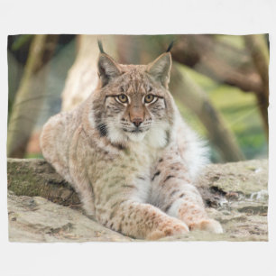 Bobcat Fleecefilt