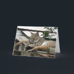 Bobcat Friends Birthday Card Kort<br><div class="desc">Bobcat Friends Birthday Card</div>