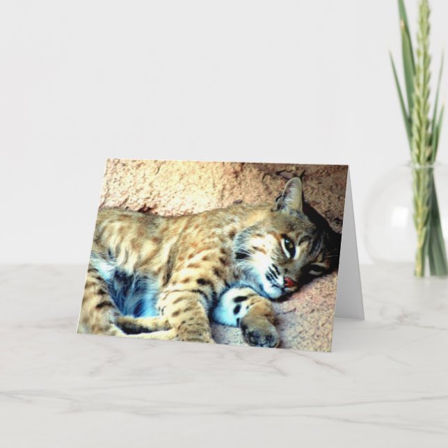 Bobcat Habitat-hälsningskort Kort (Framsida)