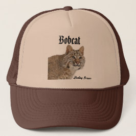 Bobcat Hat Keps