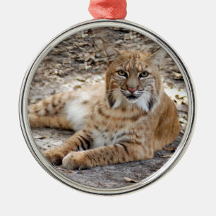 Bobcat-julprydnad Julgransprydnad Metall