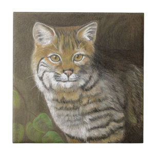 Bobcat Kakelplatta