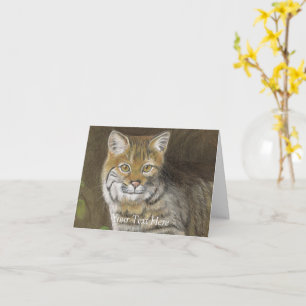 Bobcat Kort