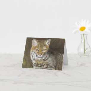 Bobcat Kort