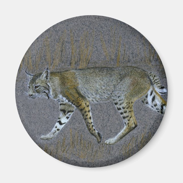 Bobcat Magnet (Framsidan)