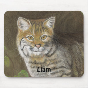 Bobcat Musmatta